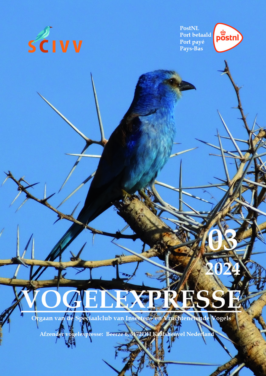 Vogelexpresse 2024-03
