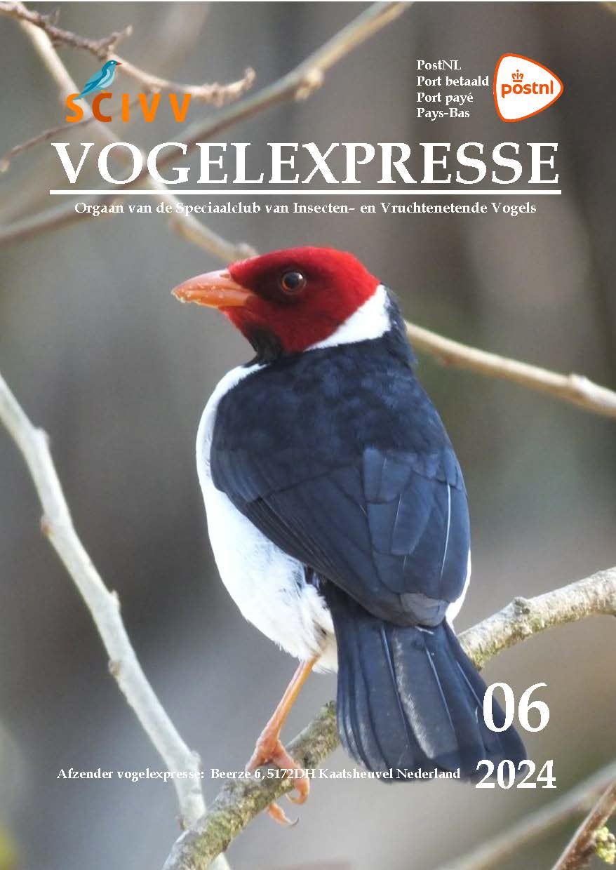 Vogelexpresse 2024-06